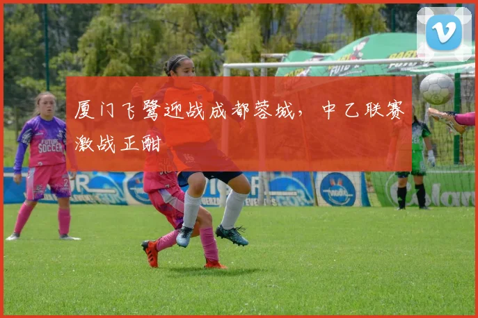 厦门飞鹭迎战成都蓉城，中乙联赛激战正酣