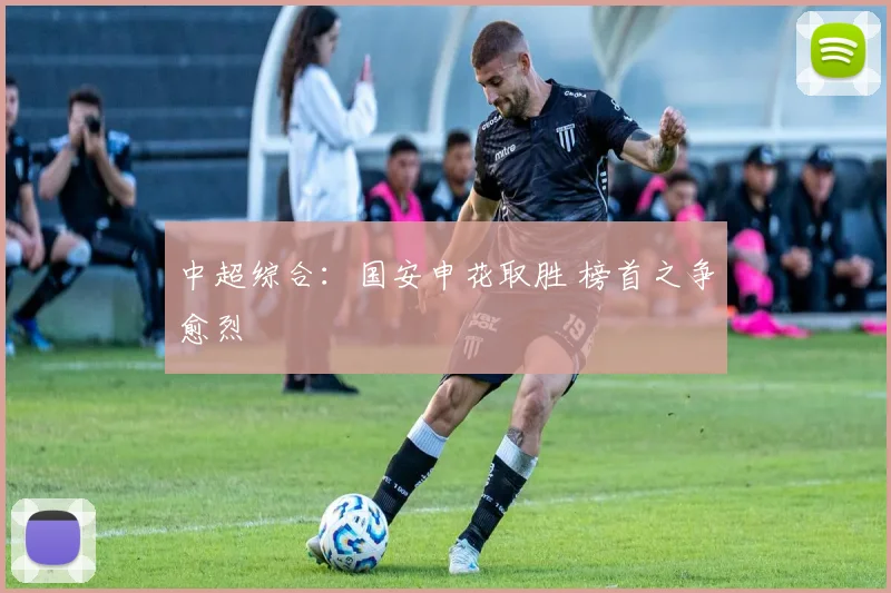 中超综合：国安申花取胜 榜首之争愈烈