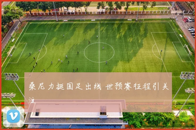 桑尼力挺国足出线 世预赛征程引关注