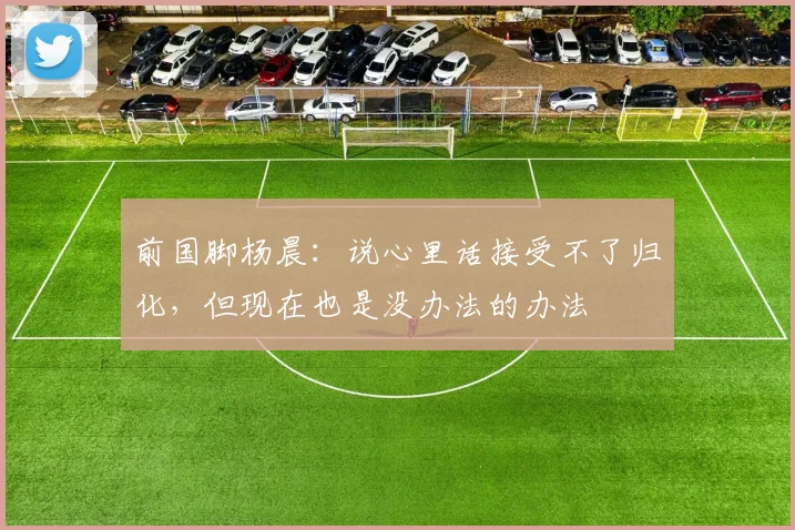 前国脚杨晨：说心里话接受不了归化，但现在也是没办法的办法
